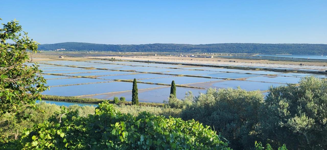 Apartment Salt Pans View Portoroz Exterior foto