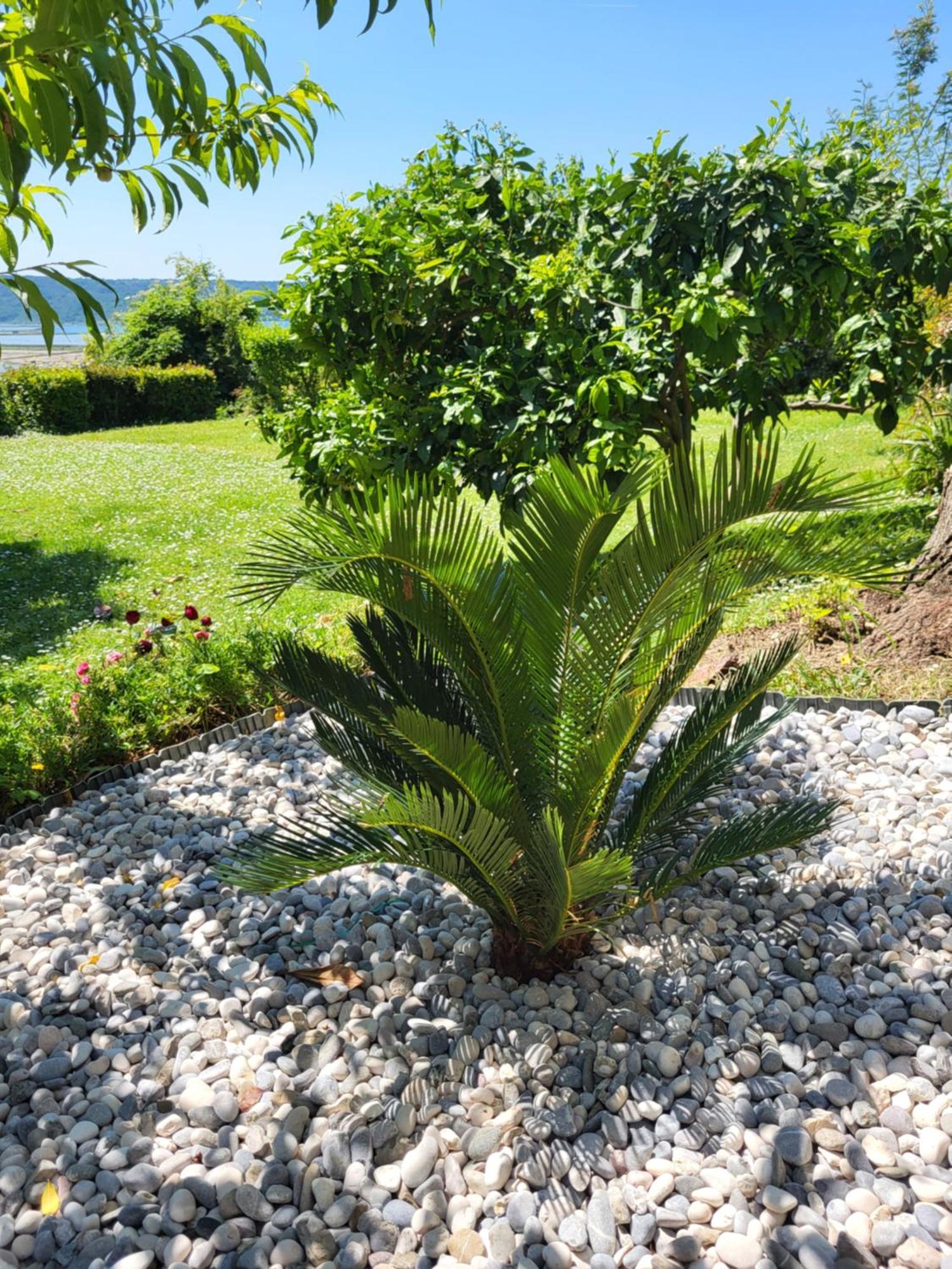 Apartment Salt Pans View Portoroz Exterior foto