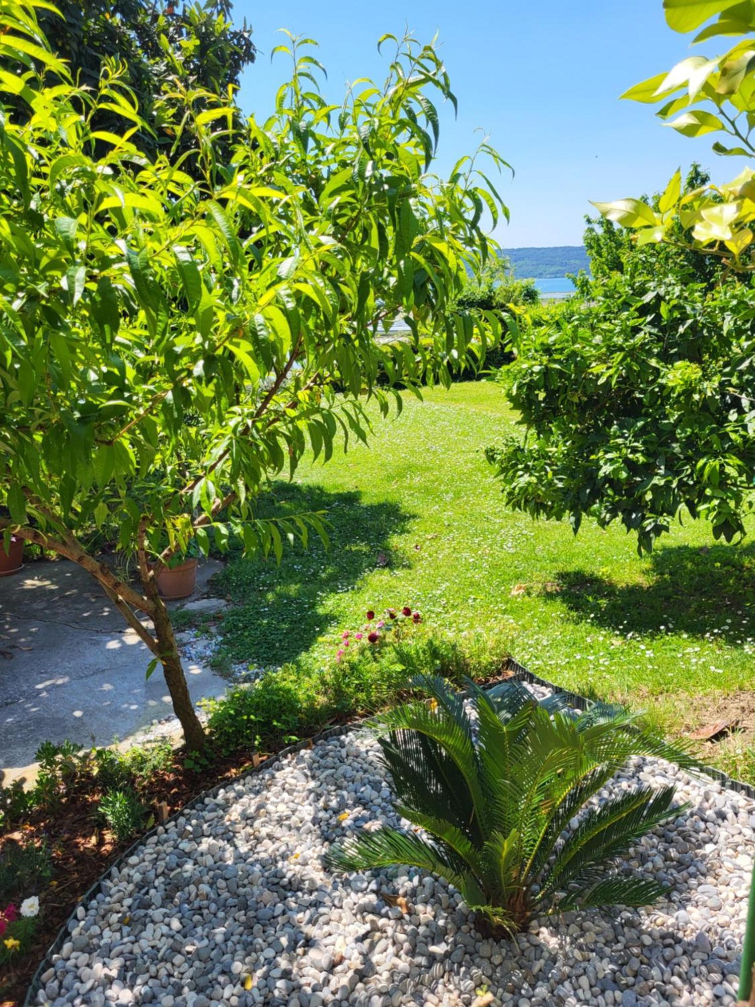 Apartment Salt Pans View Portoroz Exterior foto