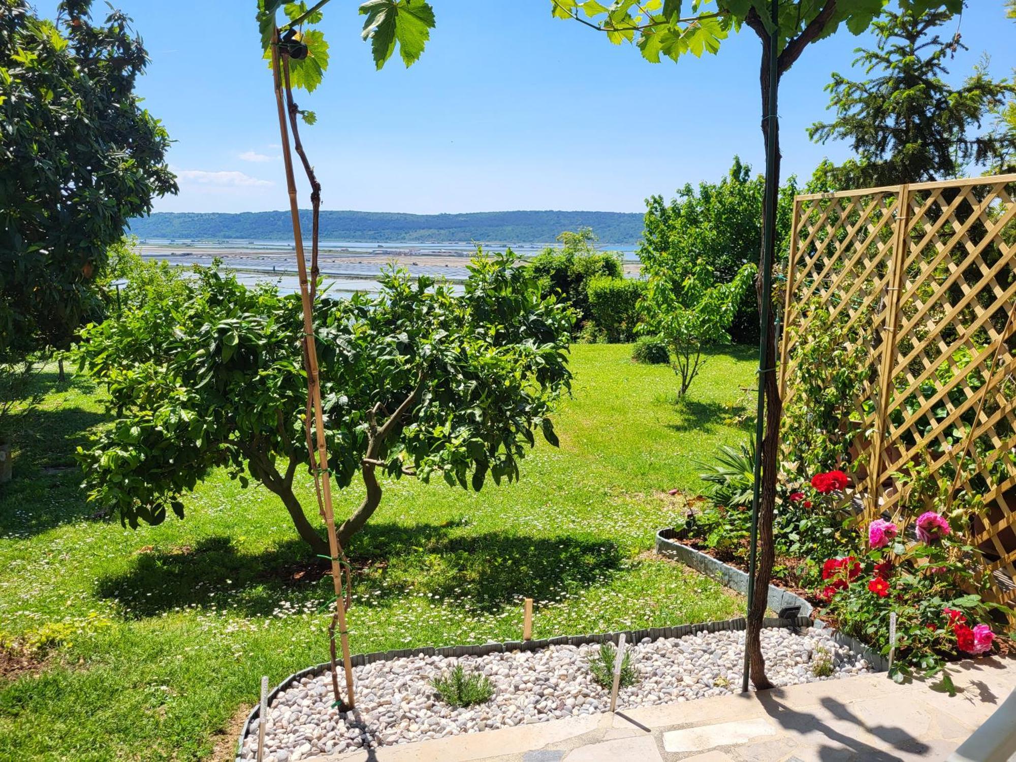 Apartment Salt Pans View Portoroz Exterior foto