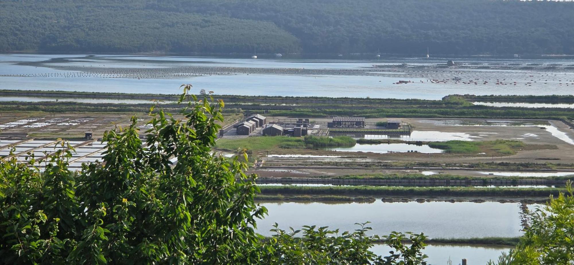 Apartment Salt Pans View Portoroz Exterior foto